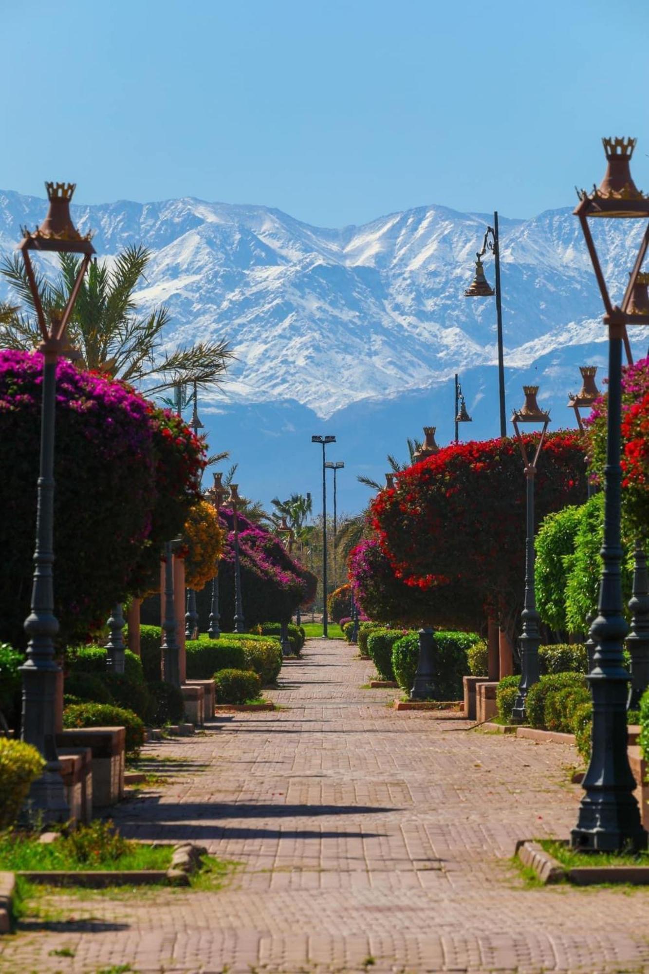 Riad Majestic Marrakech Marrakesh Ngoại thất bức ảnh